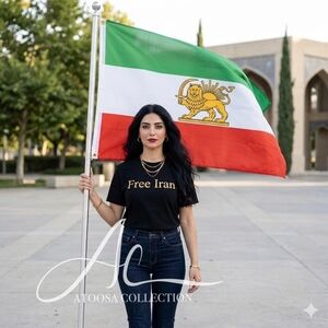 3x5 Iran Lion and Sun Flag Free Iran Women Life Freedom Persian Heritage
